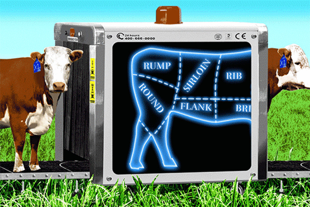 Airport X-Ray Machines Could Help Meat Industry Compete In Coming Years With Lab-Grown Meat (#GotBitcoin?)