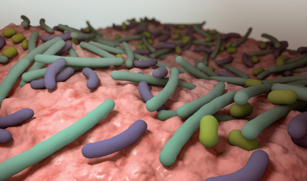 Food, The Gut’s Microbiome And The FDA’s Regulatory Framework