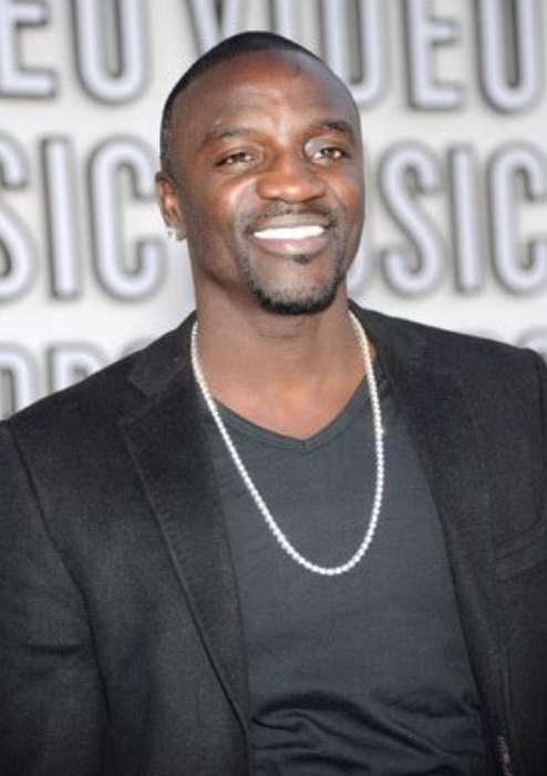 Long Bitcoin, Short The Bankers! Why Artist Akon Loves BTC