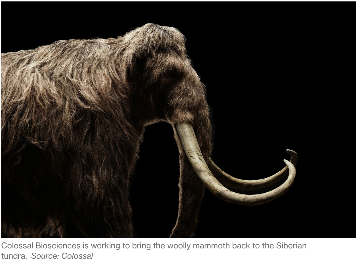 Meet The Scientists Bringing Extinct Species Back From The Dead (#GotBitcoin)