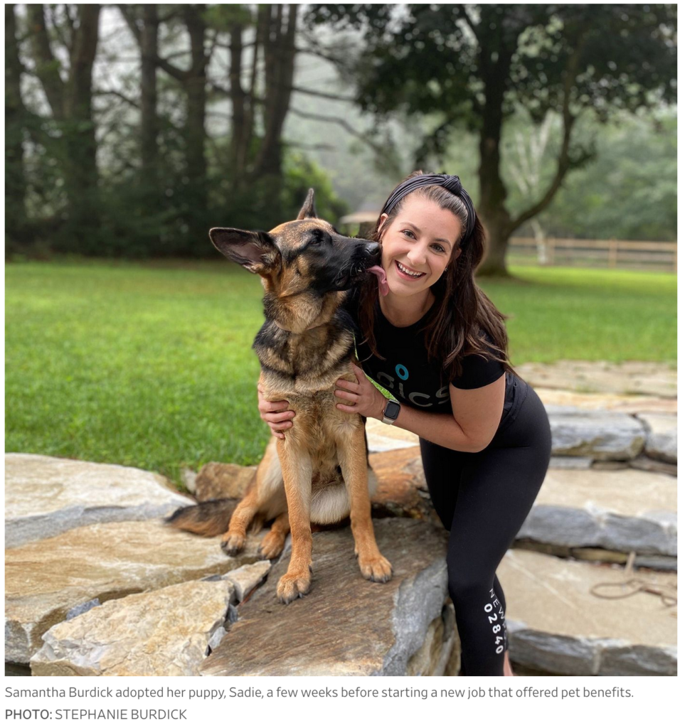 Pets Score Company Perks As The ‘New Dependents’ DPL