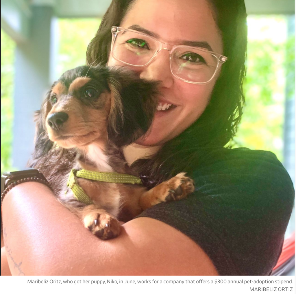 Pets Score Company Perks As The ‘New Dependents’ DPL