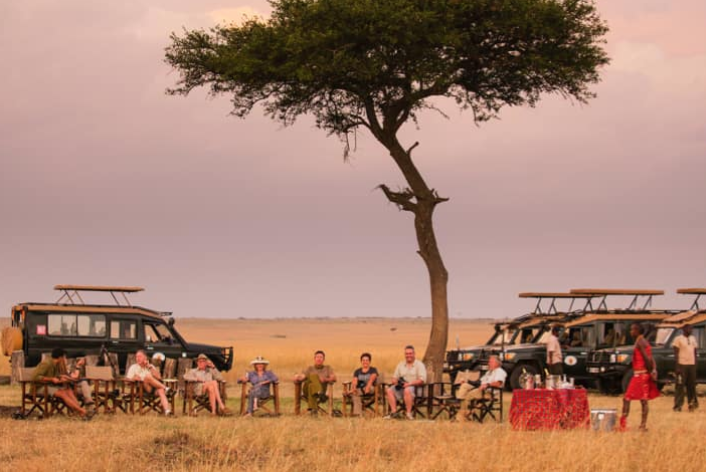 African Safari Vacation Itinerary (2024 Proposal)