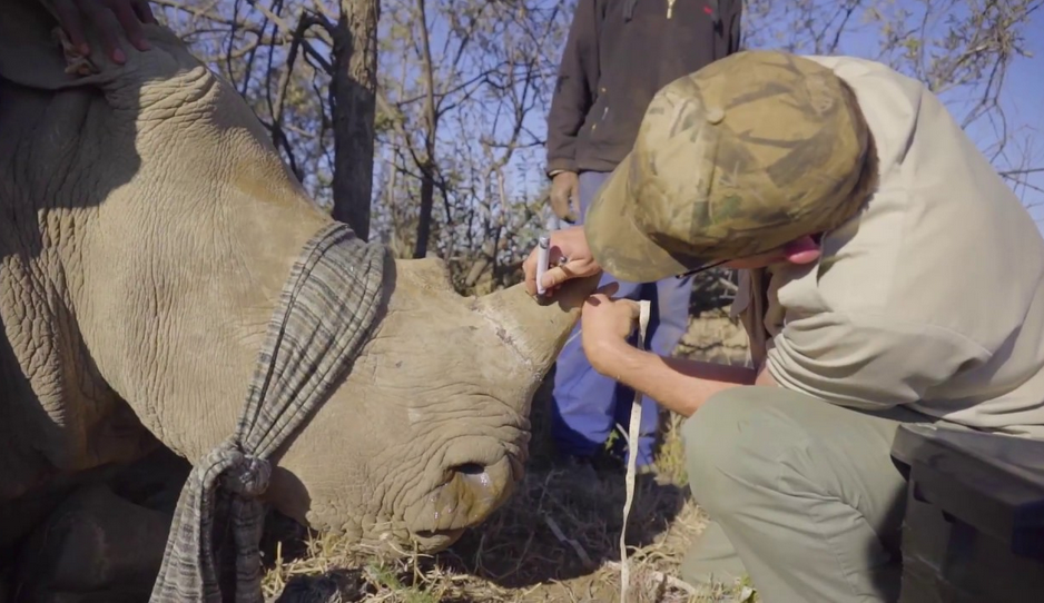 Meet The Women Who Track Down And Kill Poachers