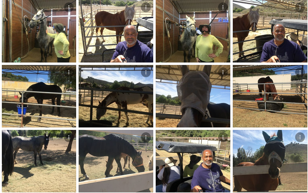 Having Fun At The Equine Companionship Experience. Thousand Oaks, Ca. 😎😹✅👍🏿