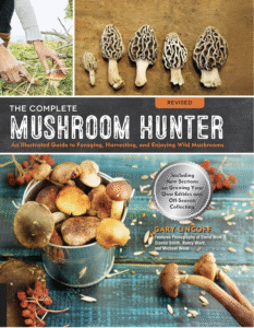 Ultimate Resource On Mushrooms From Foraging, Medicinal, Cultivation And More