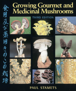 Ultimate Resource On Mushrooms From Foraging, Medicinal, Cultivation And More