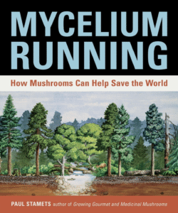 Ultimate Resource On Mushrooms From Foraging, Medicinal, Cultivation And More