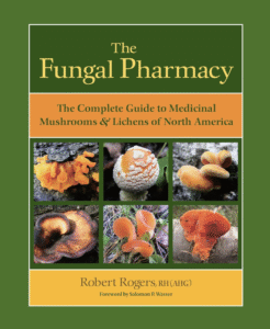 Ultimate Resource On Mushrooms From Foraging, Medicinal, Cultivation And More